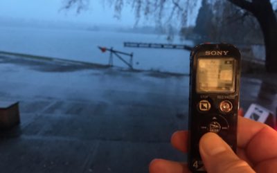 Physician: Too Busy to Blog? Then Blog While Walking.