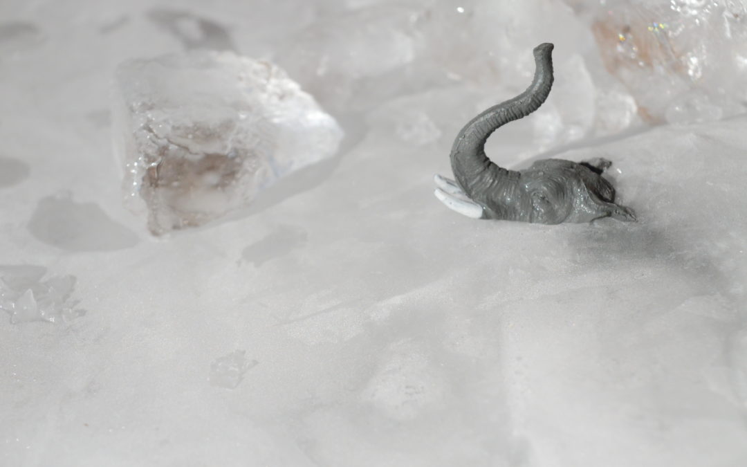 Photography, Medicine, and The Power of Story