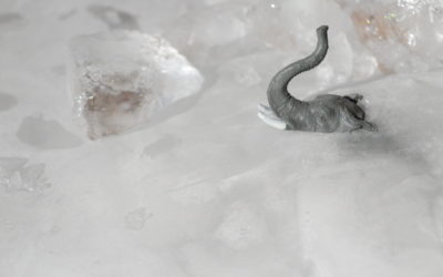 Photography, Medicine, and The Power of Story