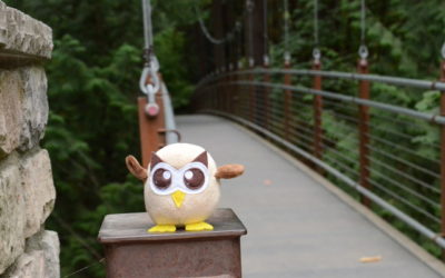 What Healthcare Can Learn From Hootsuite and Owly