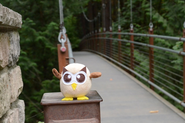 What Healthcare Can Learn From Hootsuite and Owly