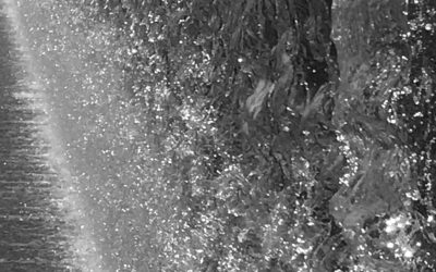 Will AI-Enabled EHRs worsen Cascades-of-Care?