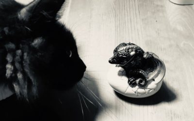 Physicians, Creativity, and NaNoWriMo