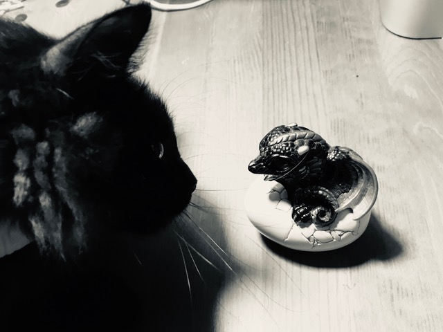 Physicians, Creativity, and NaNoWriMo