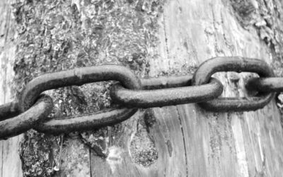 Healthcare CEOs: Don’t Let Your Physicians Retire Without a Fight