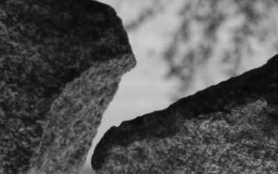 Narrow Technical Expertise in AI and AI Ethics Committees