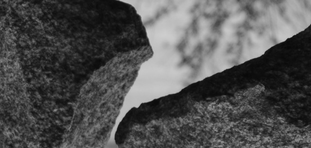 Narrow Technical Expertise in AI and AI Ethics Committees