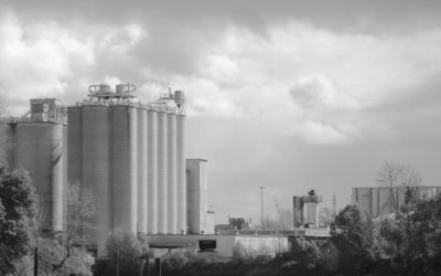 Very Few Things Are Black and White