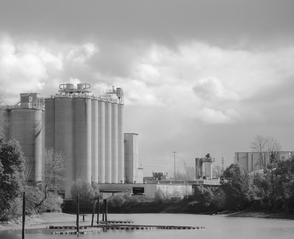 Very Few Things Are Black and White