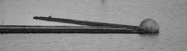 Emotional Coherence And A Wedge of Ambivalence