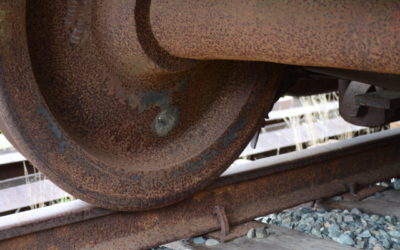 Curation for Photography (and Writing)