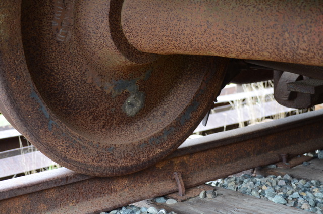 Curation for Photography (and Writing)