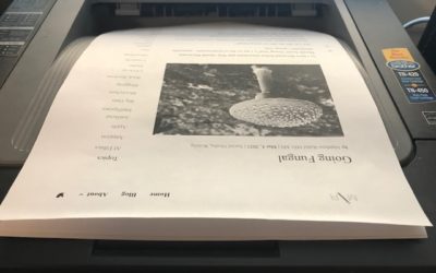 Sloppiness – My Writing Habit Easiest to Fix