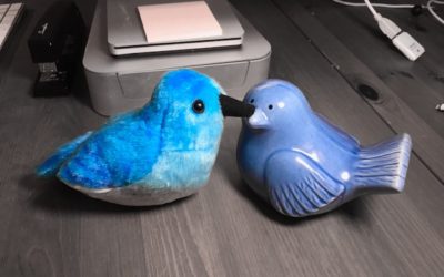 Twitter As A Proxy Metric For Institutional Digital Trust