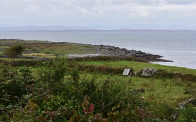 How Does The Earth See You?