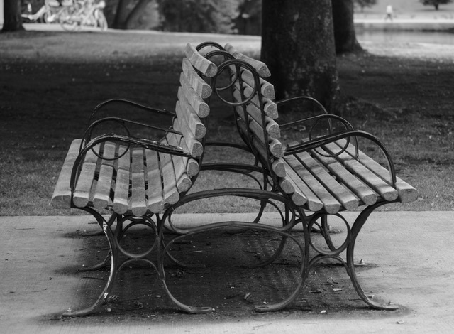 How I Created (maybe?) a Physician Ikigai Dyad