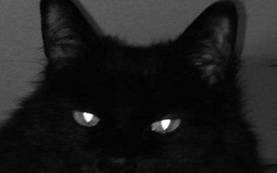 Writers: Beware The Watcher!