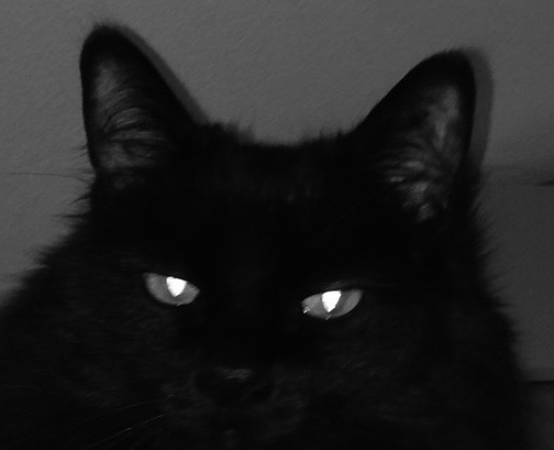 Writers: Beware The Watcher!