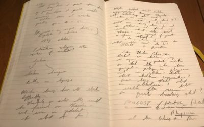 Morning Journaling, Haiku, and A Joint Native American Healer/Western Physician Podcast?