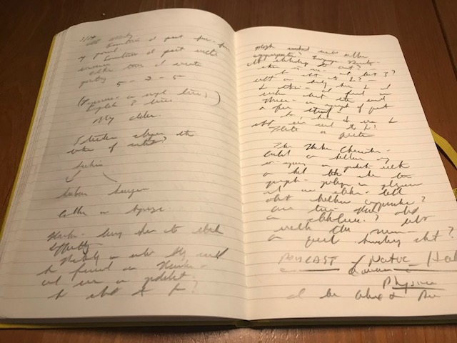 Morning Journaling, Haiku, and A Joint Native American Healer/Western Physician Podcast?