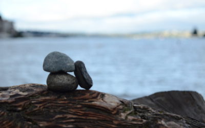 Personal Healthcare Decisions: Logos, Ethos, and Pathos