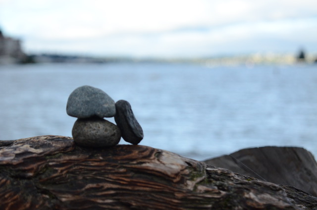 Personal Healthcare Decisions: Logos, Ethos, and Pathos