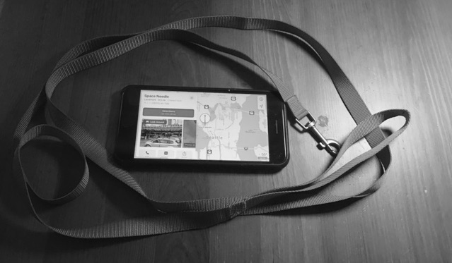 Smartphones—The Digital Nanny-Leash for Kids