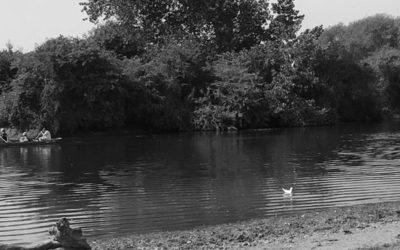 In The River of Twitter, Be Wary of Eddies