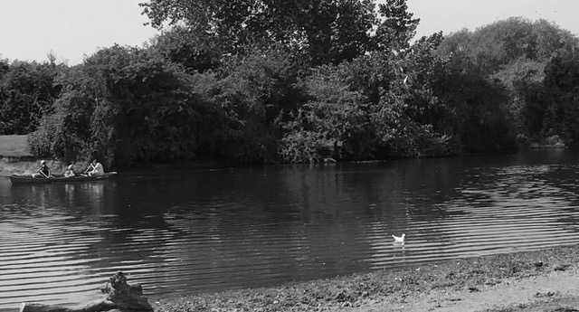 In The River of Twitter, Be Wary of Eddies