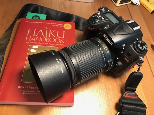 Reading Haiku, Seeing Photography