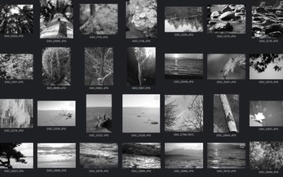 How Many Poems Does It Take?