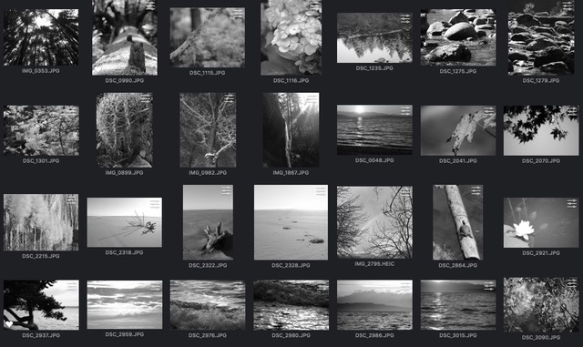 How Many Poems Does It Take?