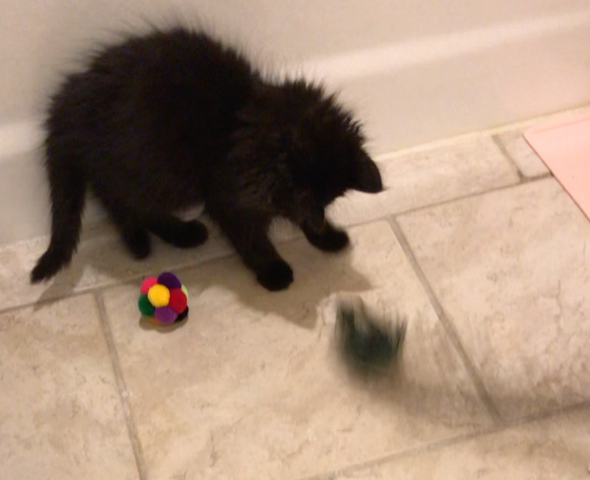 Philosophy as a Serious Game