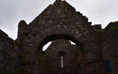 Career, Soul, And Ikigai