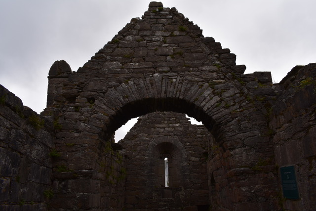 Career, Soul, And Ikigai