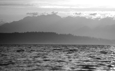 Mountain, Tree, Water Haiku