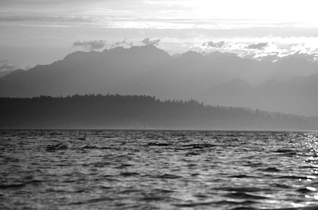 Mountain, Tree, Water Haiku