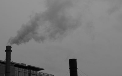 Using Social Media to Wallow in Despair