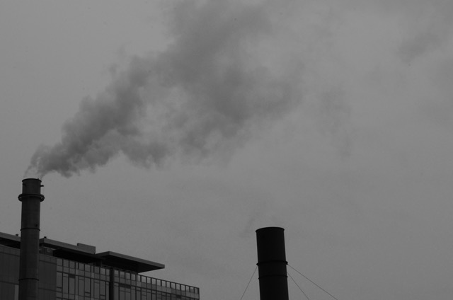 Using Social Media to Wallow in Despair