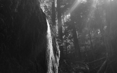 Light Penetrating Haiku