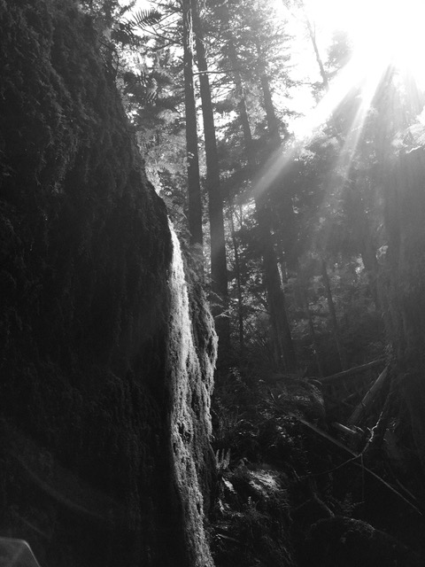 Light Penetrating Haiku