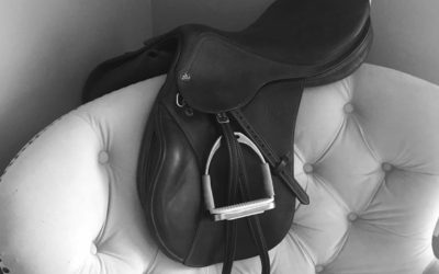 At My Creative Saddle Point