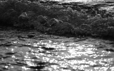 Bubble Boundary Haiku