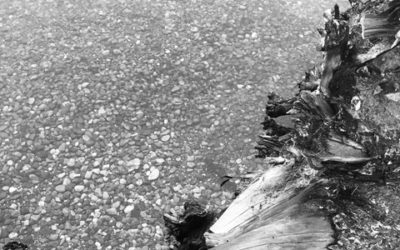 Pebbles in Water Haiku