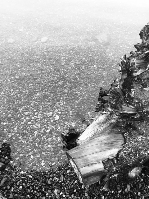 Pebbles in Water Haiku