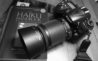 How To Torture Your Wife