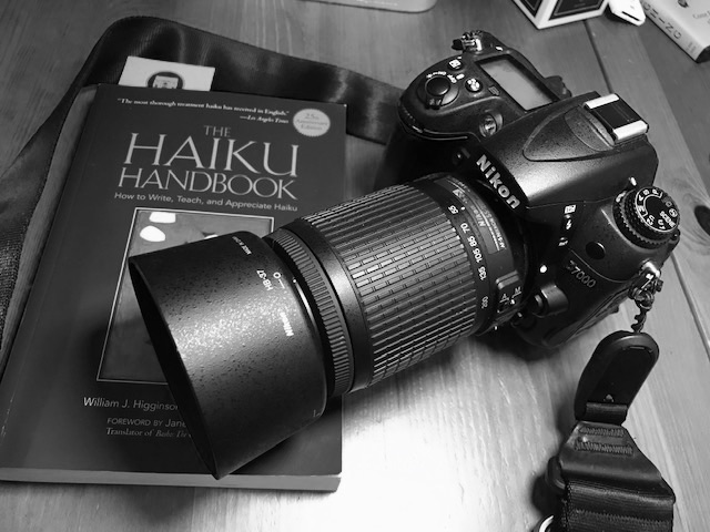 How To Torture Your Wife