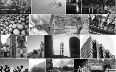 Finding My Voice By Creating a Body of Work