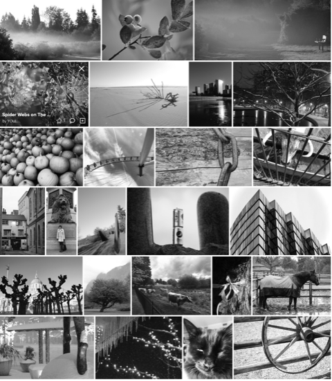 Finding My Voice By Creating a Body of Work