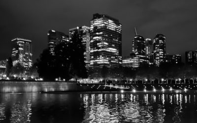 Black, White, and Grey